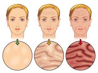 stages of aging of the skin